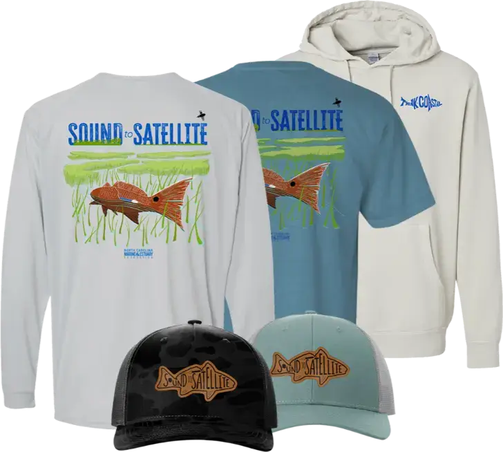 Sound to Satellite Collection