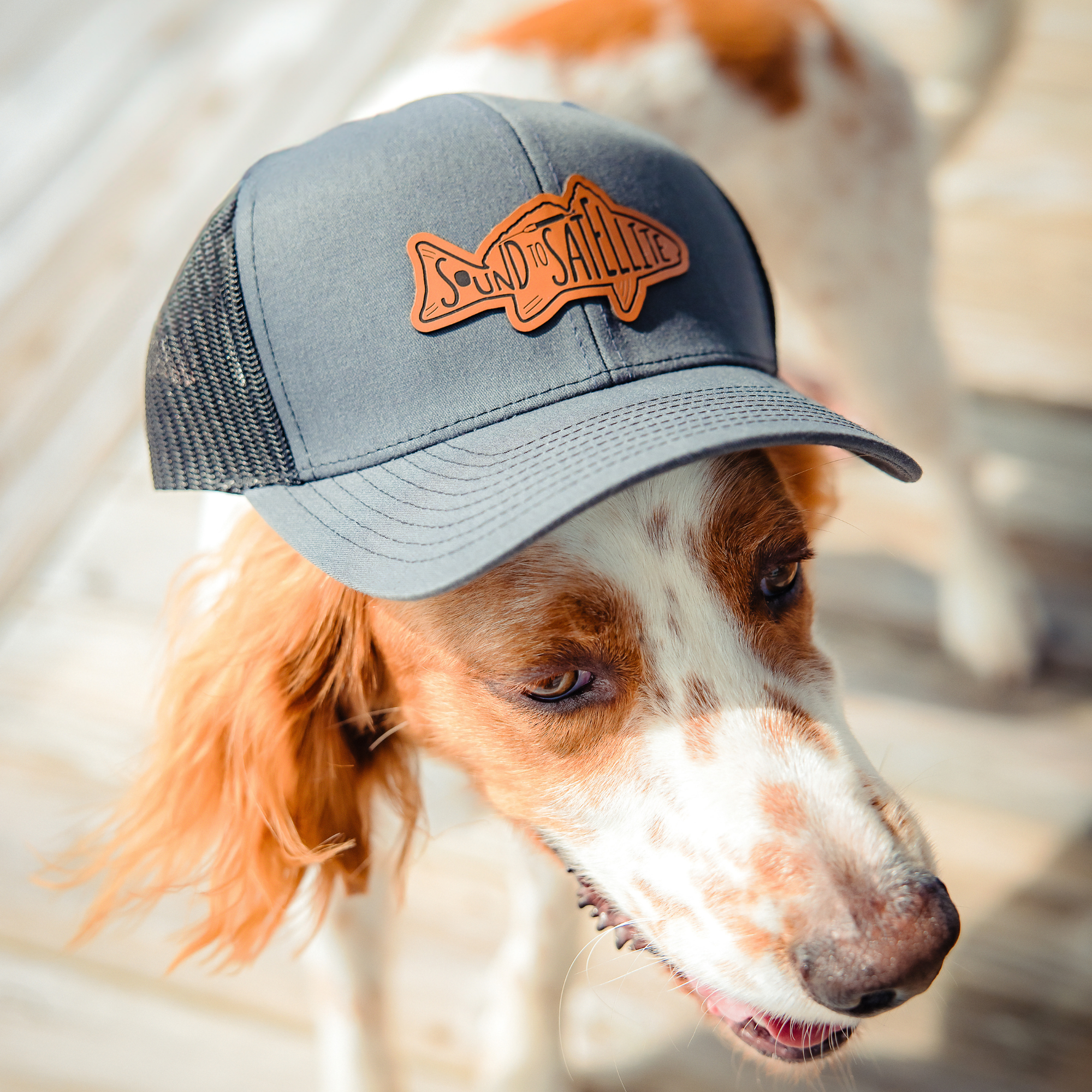 Sound to Satellite Trucker Hat - Charcoal