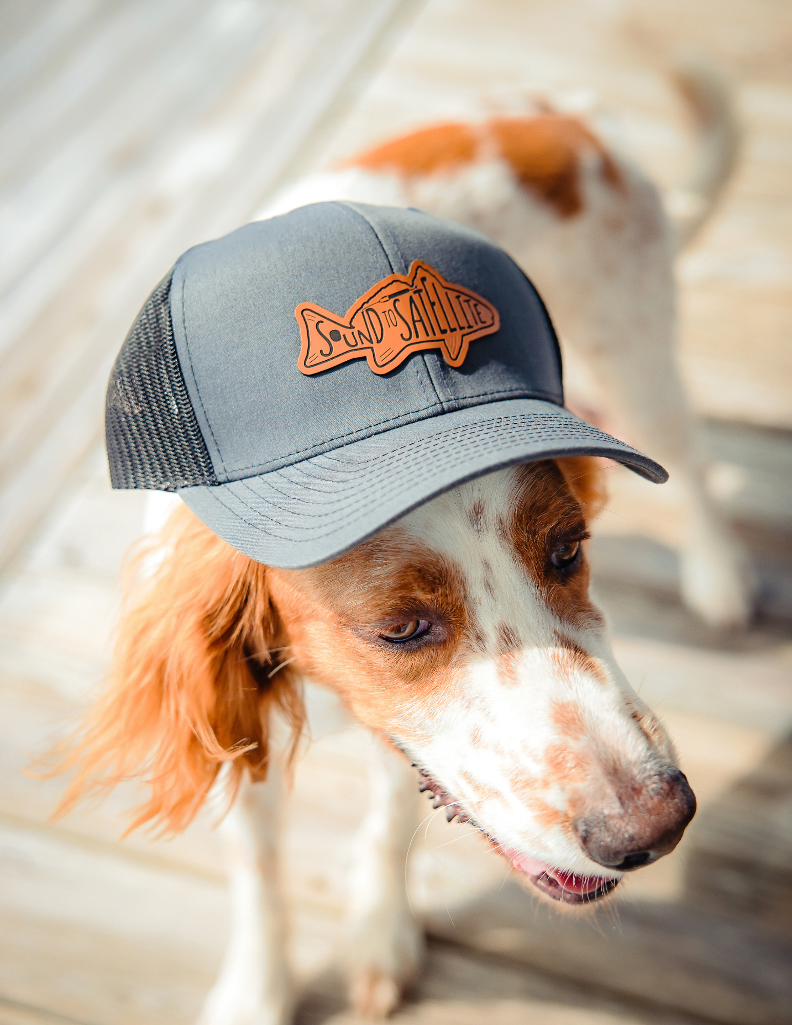 Sound to Satellite Classic Trucker Hat - Charcoal