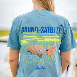 Sound to Satellite Cotton T-shirt - Ice Blue