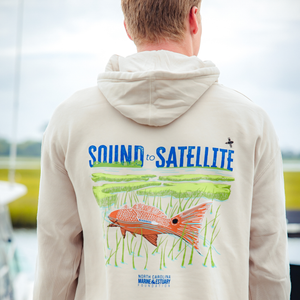 Sound to Satellite Hoodie - Ivory